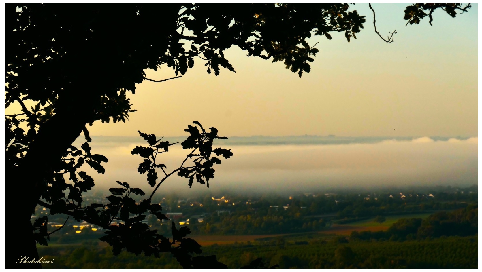 Frühnebel über dem Rhein 