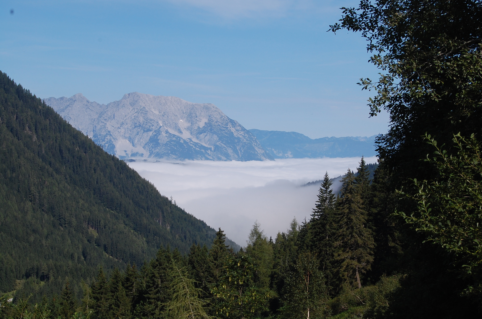 Frühnebel über Donnersbach