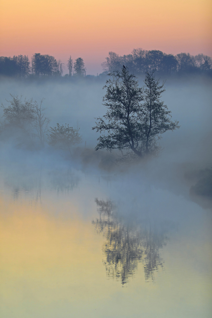 Frühnebel und erstes Sonnenlicht