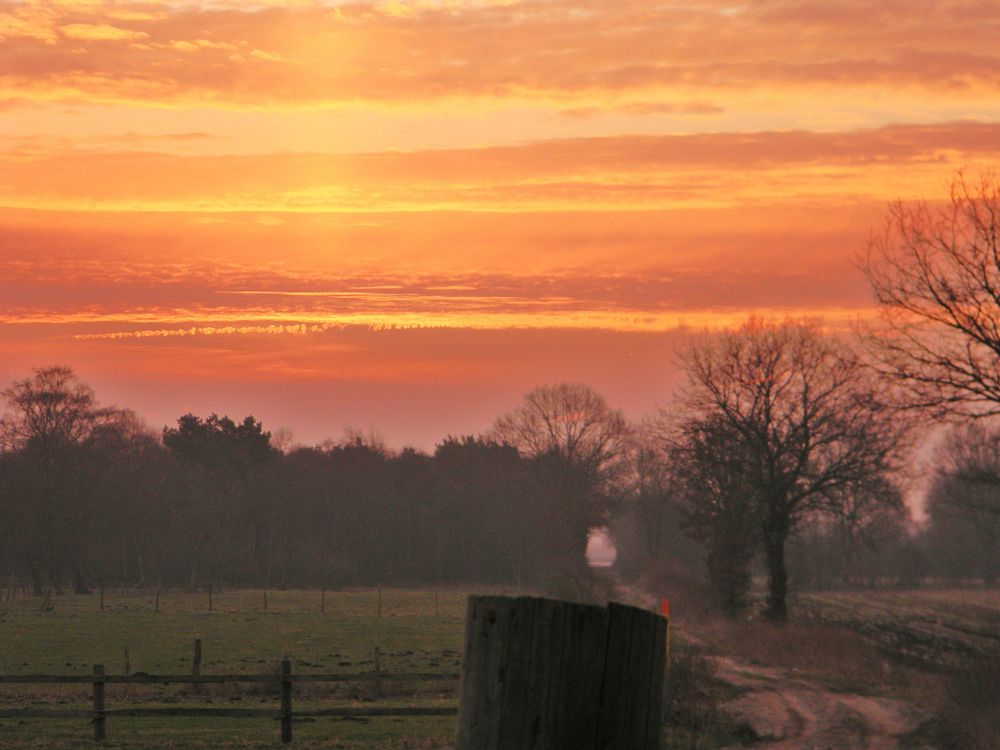 Frühnebel vor dem Moor