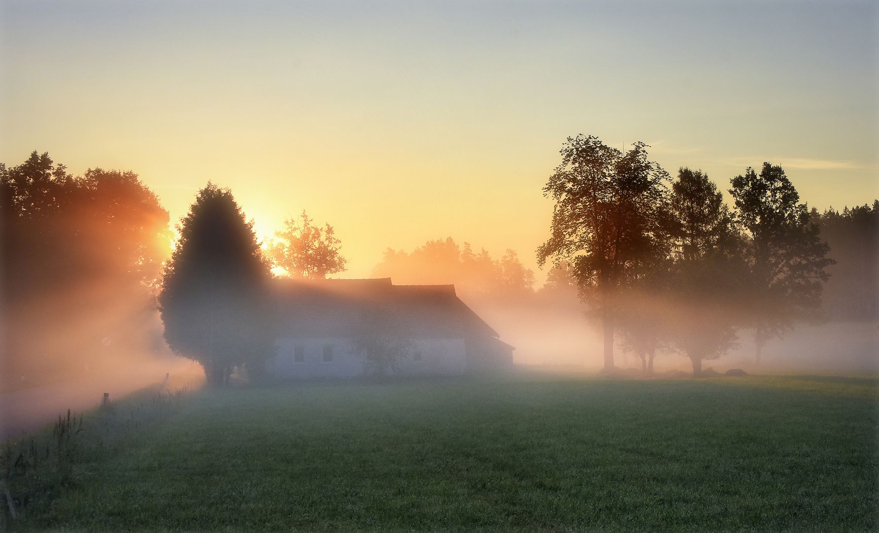 FrühNebelFelder