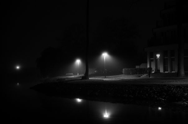 Frühnebel(Reflexionen horizontal und vertikal)