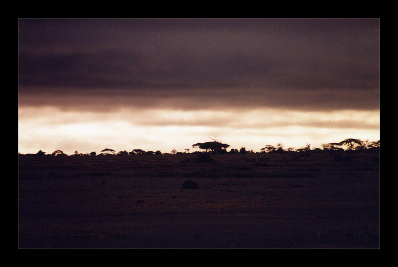 Frühpirsch im Kilimanjaro Kimana-Tierreservat