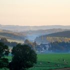 Frühschicht auf der Kuhweide