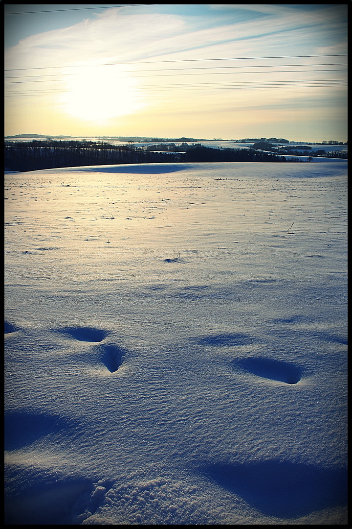 Frühschnee