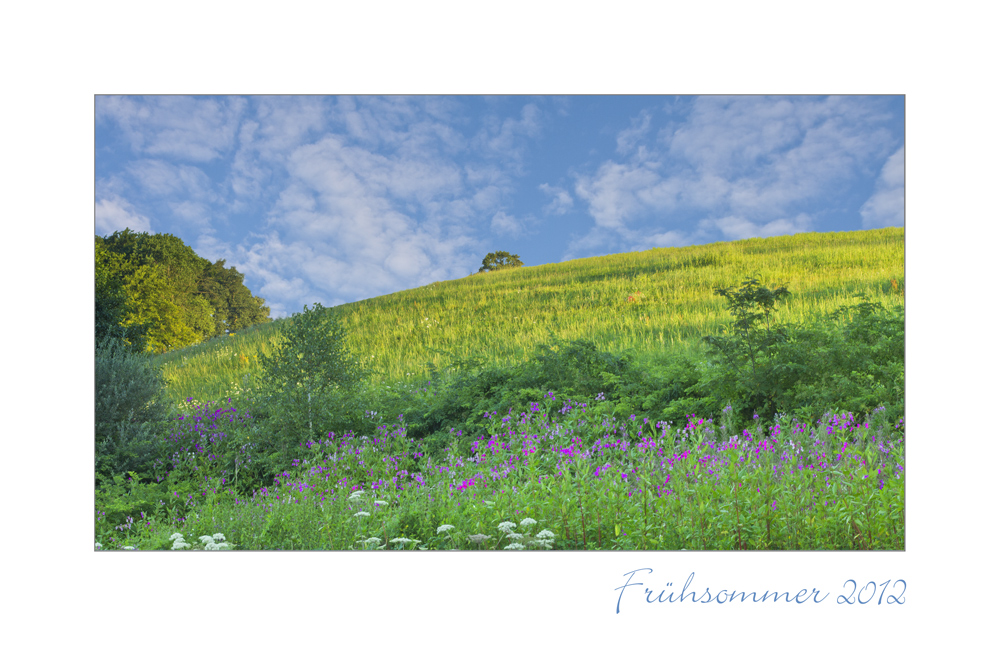 Frühsommer 2012