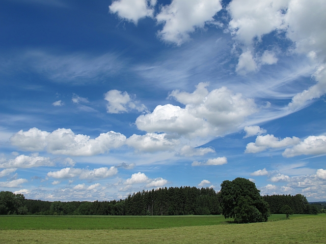 Frühsommer 2012: Höllberg - Zwischen Erde und Himmel