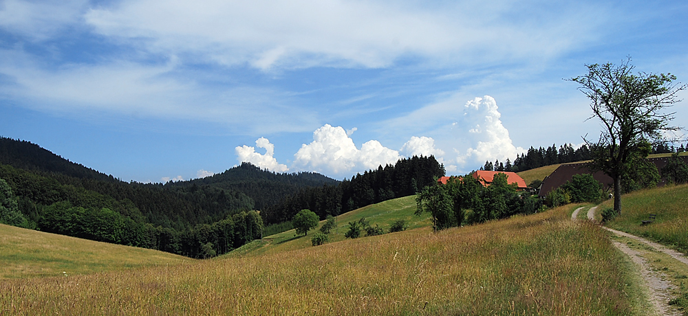 Frühsommer