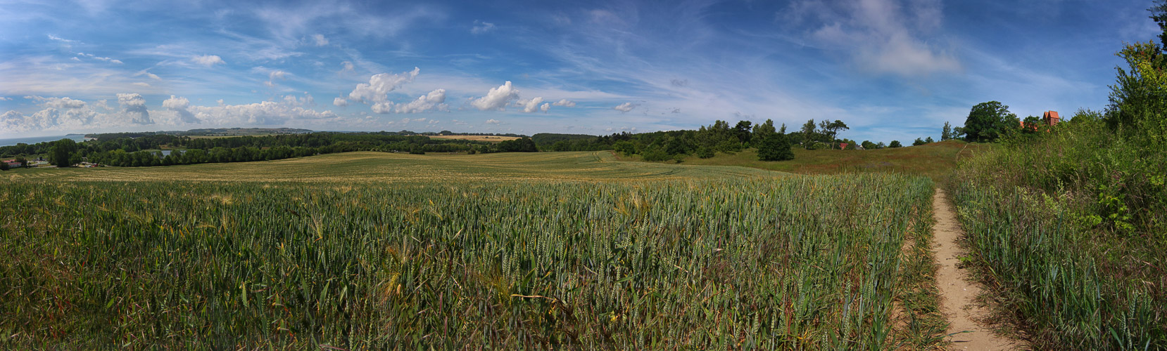 Frühsommer