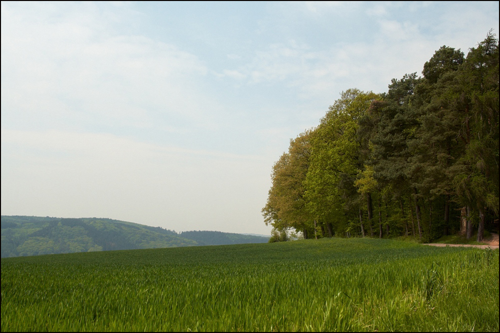 Frühsommer ...