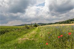 FrühSommer