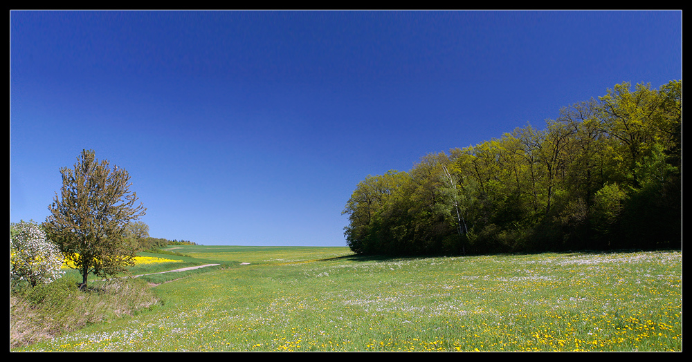 Frühsommer