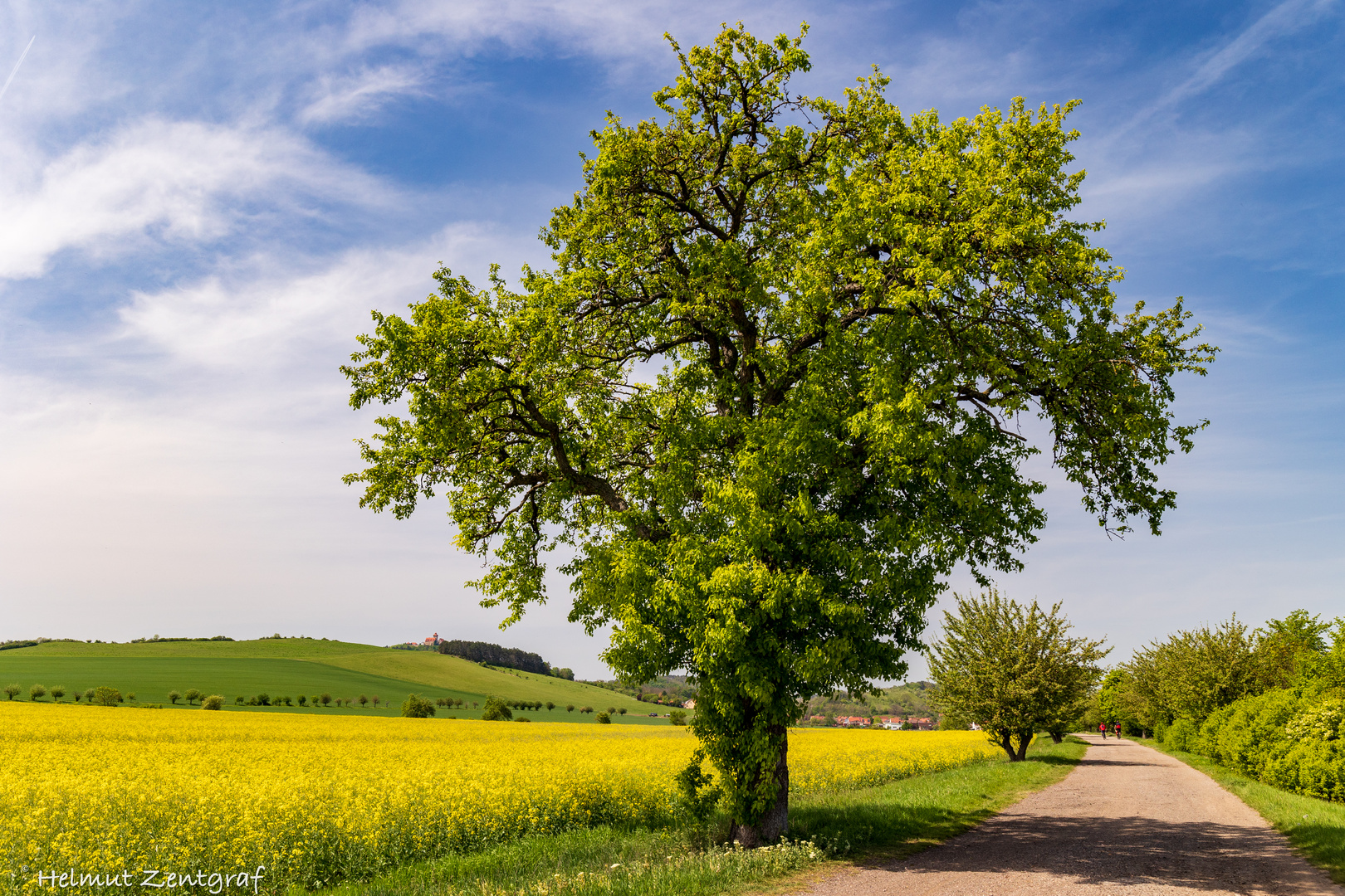 Frühsommer am Bach- Radweg zwischen Arnstadt und Haarhausen