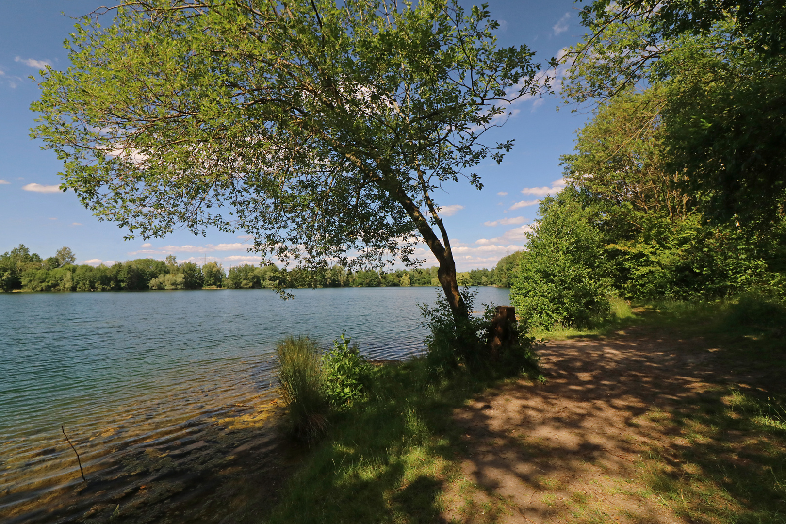 Frühsommer am Fischteich