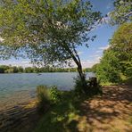 Frühsommer am Fischteich