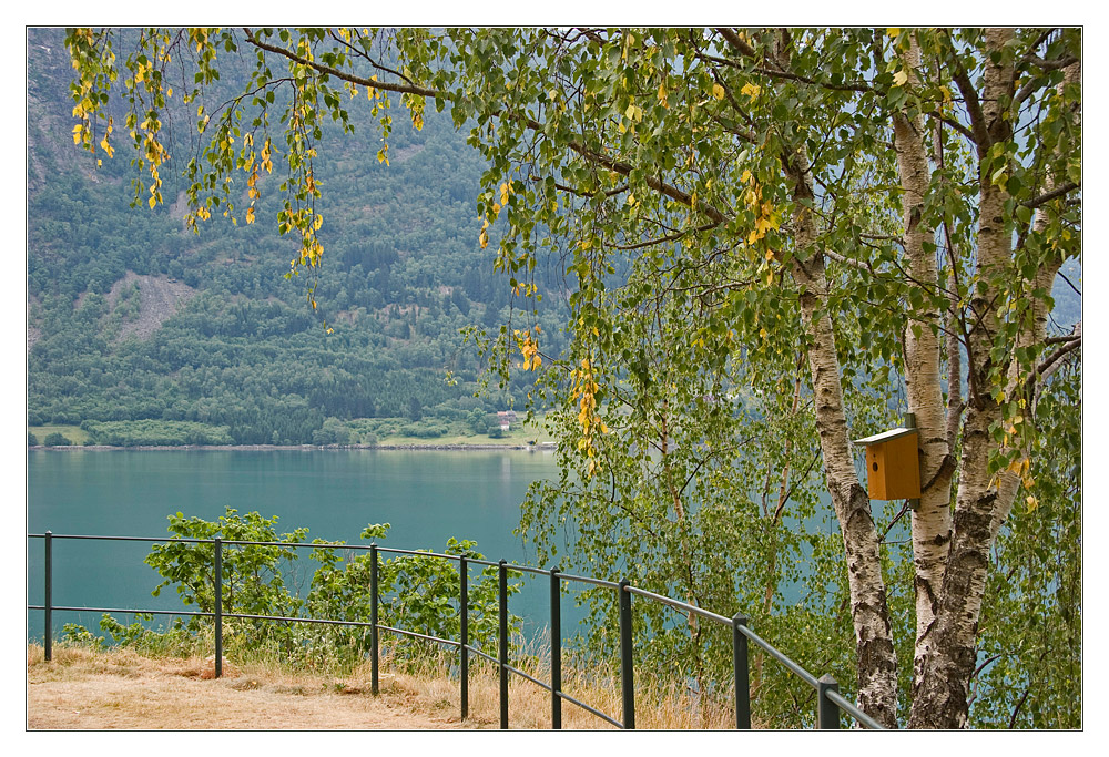 Frühsommer am Fjord