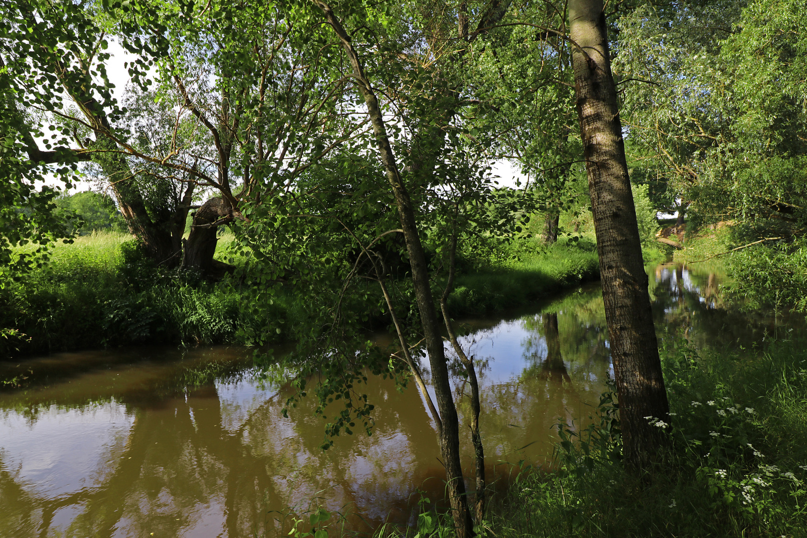 Frühsommer am Fluss