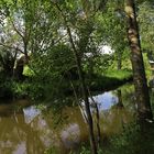 Frühsommer am Fluss