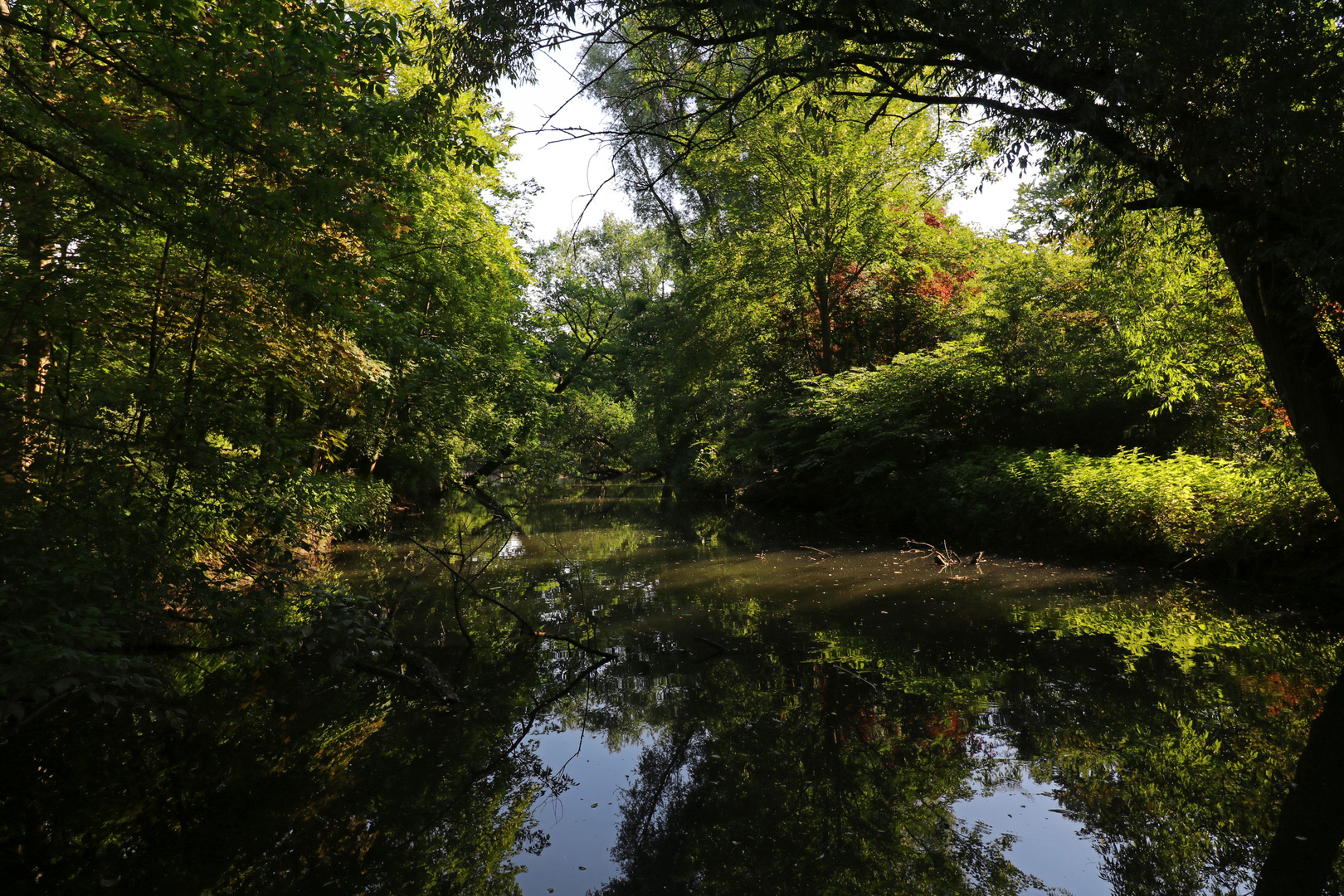 Frühsommer am Mühlengraben