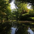 Frühsommer am Mühlengraben