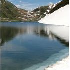 Frühsommer am Oberalp