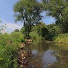 Frühsommer am Schunterufer