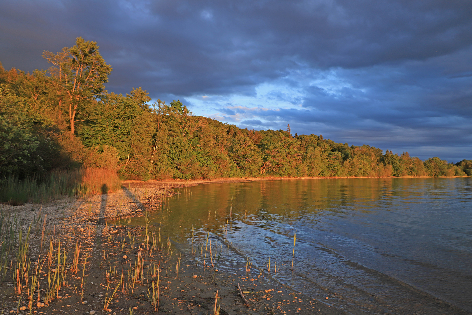 Frühsommer am See