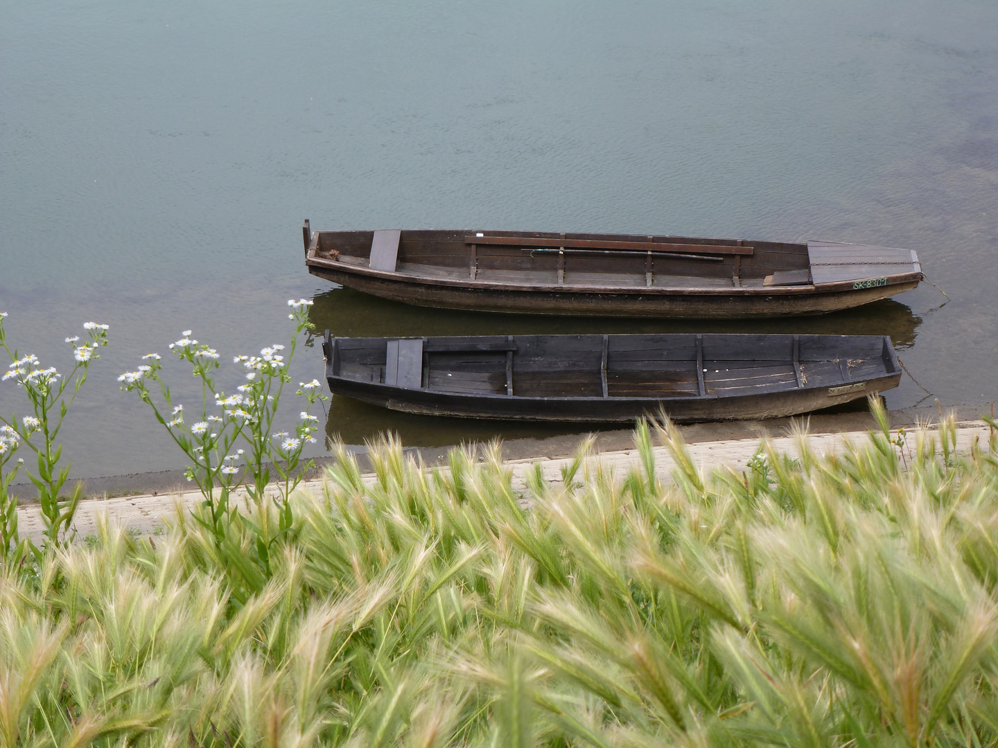 Frühsommer an der Kupa bei Sisak