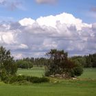 Frühsommer auf dem Lande