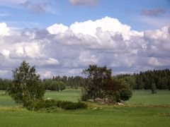 Frühsommer auf dem Lande