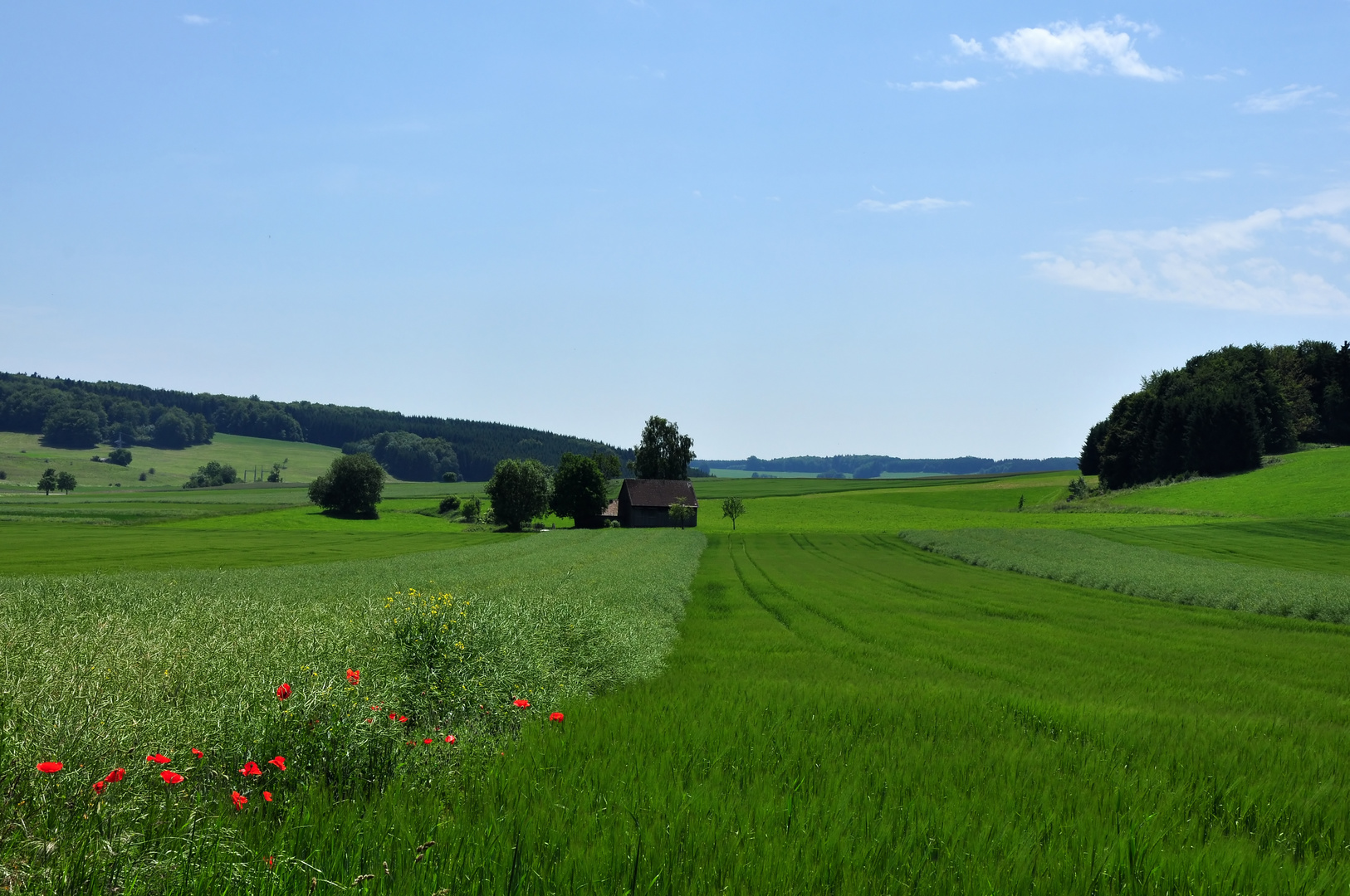 Frühsommer auf der Alb