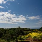 Frühsommer auf Sardinien