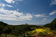 Frühsommer auf Sardinien