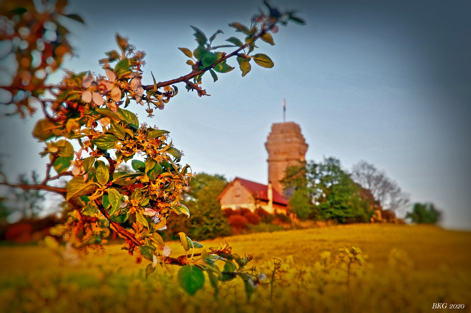 Frühsommer II