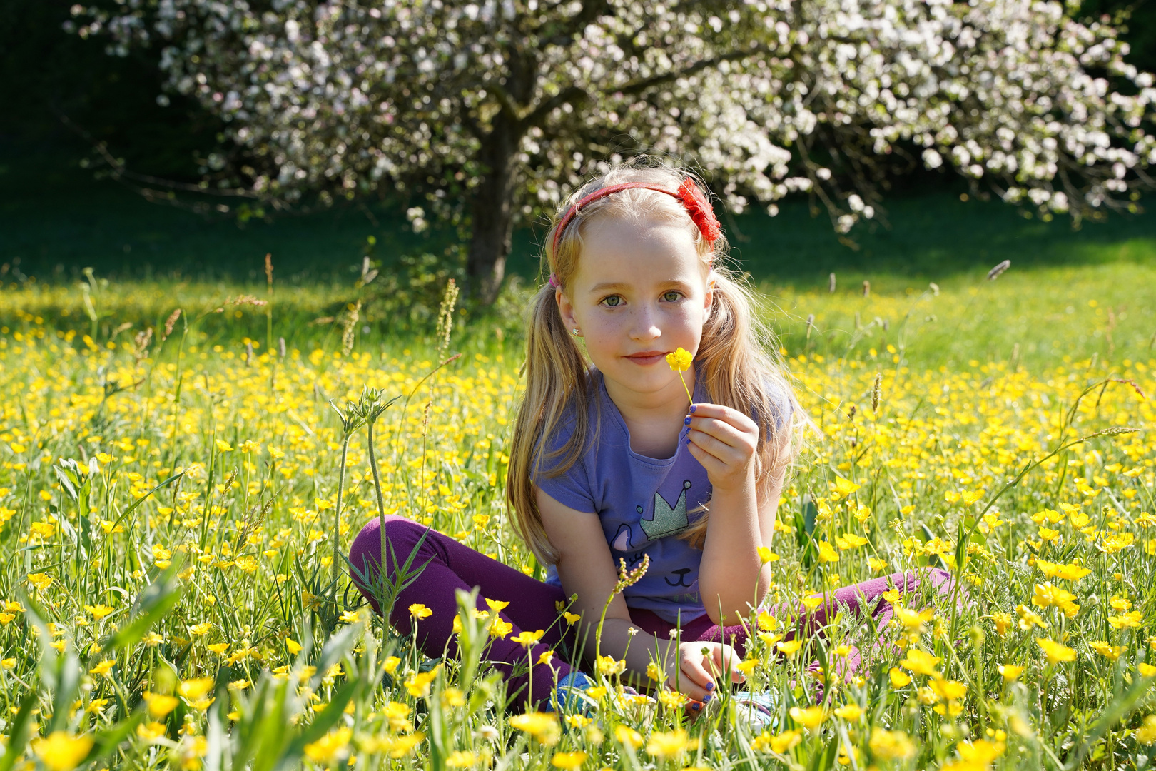 Frühsommer im April