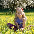 Frühsommer im April