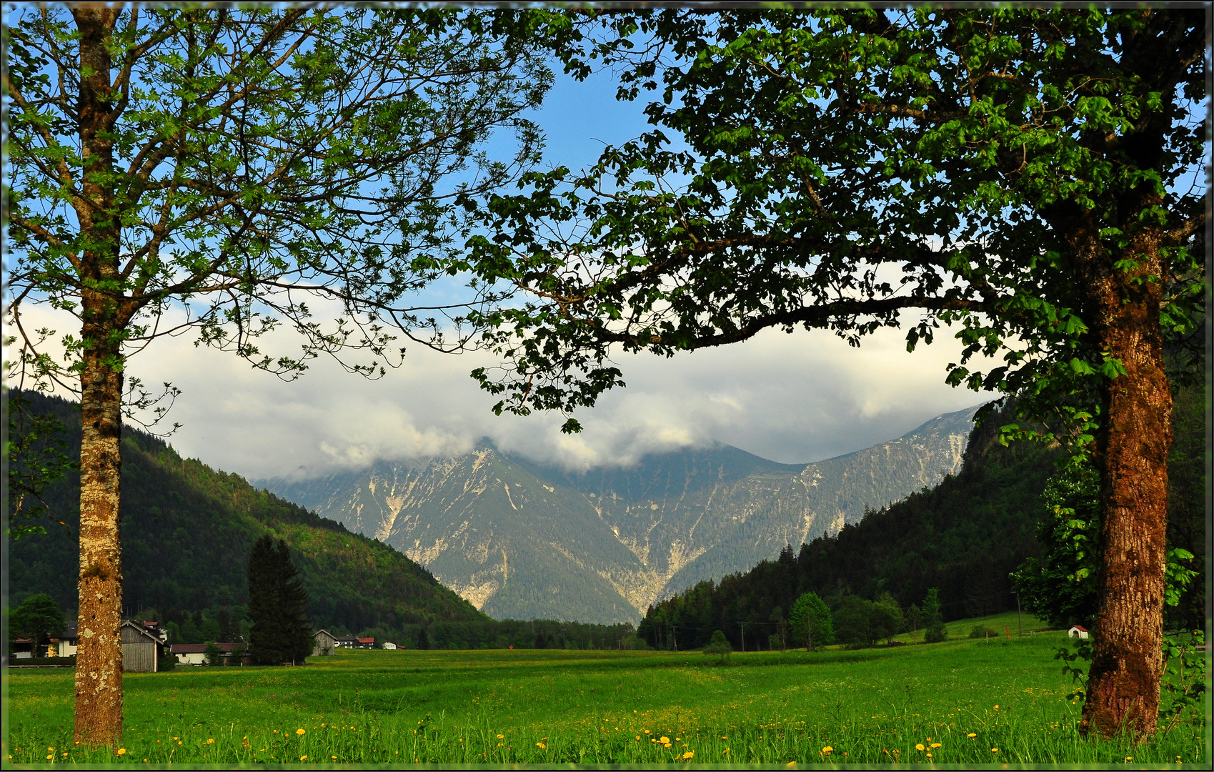 Frühsommer im Land des "Kini"