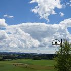 Frühsommer im Mühlviertel