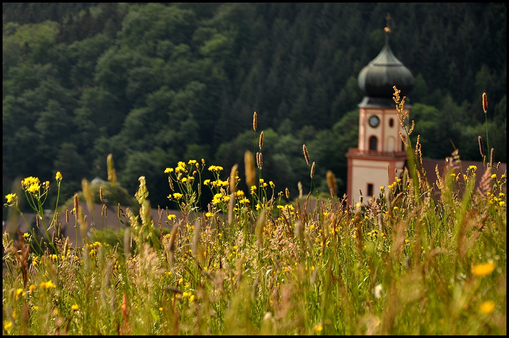 Frühsommer im Münstertal