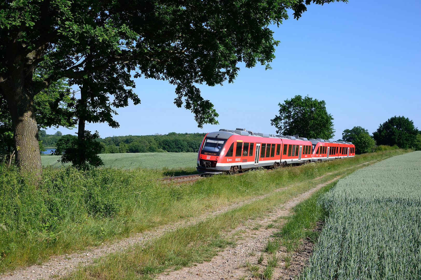 Frühsommer im Norden