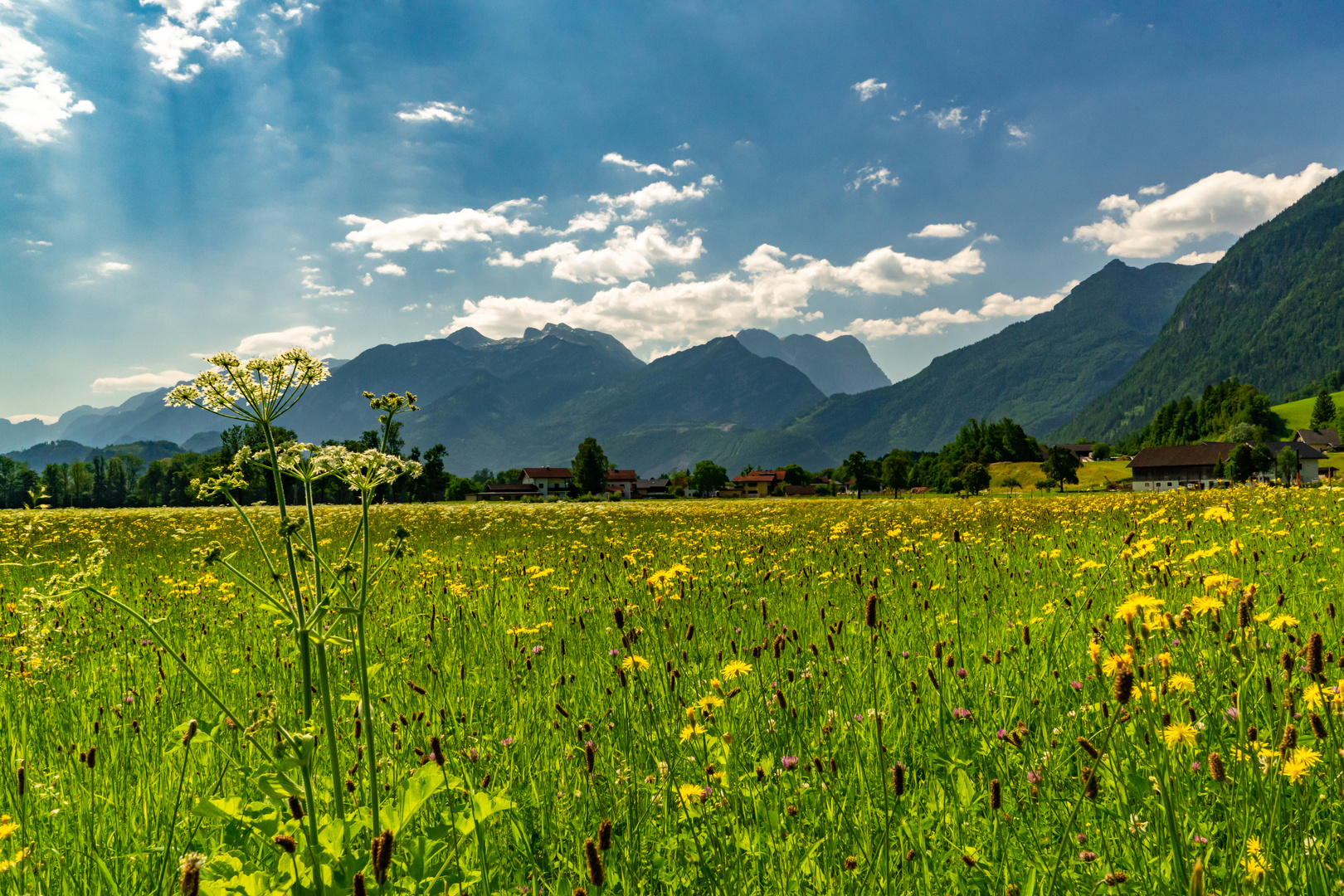 Frühsommer im Salzburger Land