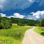 Frühsommer im Spessart