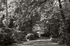 Frühsommer im Tiergarten II