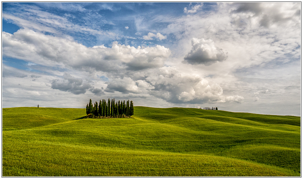 Frühsommer im Val d'Orcia