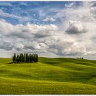 Frühsommer im Val d'Orcia