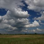 Frühsommer in Brandenburg