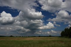 Frühsommer in Brandenburg