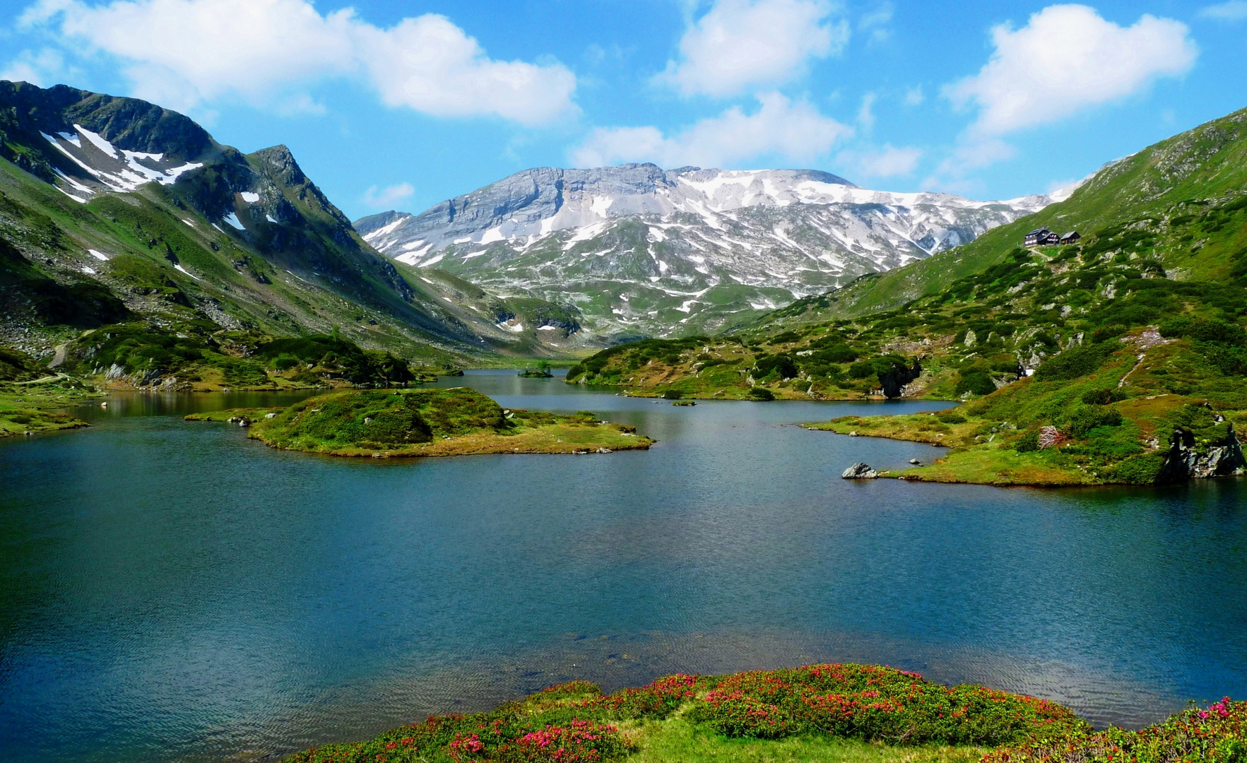 Frühsommer in den Bergen