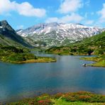 Frühsommer in den Bergen