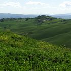 Frühsommer in den Crete Senesi